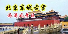 白虎骚网站中国北京-东城古宫旅游风景区